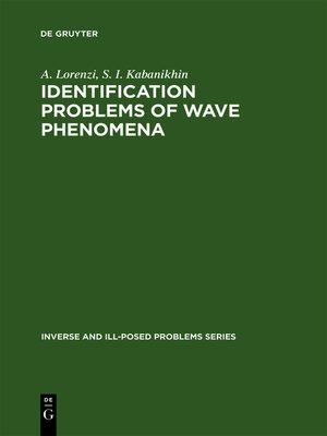 cover image of Identification Problems of Wave Phenomena